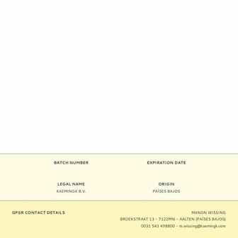 Decoratieve plant Everlands Plastic Citroenboom 17 x 24 x 43 cm 2