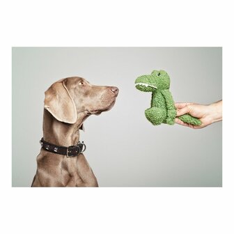 Hondenspeelgoed Gloria Pinky Krokodil Groen 2