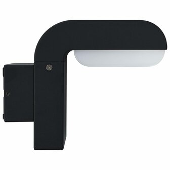 LED-buitenwandlamp 9 W ovaal zwart  3