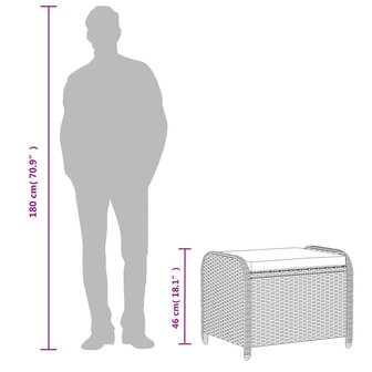 Tuinkruk met kussen 58x46x46 cm poly rattan grijs 8