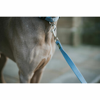 Hondenriem Hunter Blauw 100 cm 3