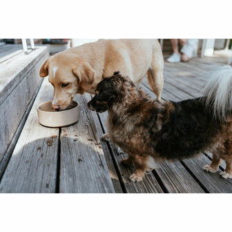 Voerbak voor honden Hunter OSBY Beige Keramisch 350 ml 5