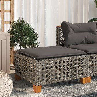 Tuinkruk met kussen 63,5x56x32 cm poly rattan grijs 1