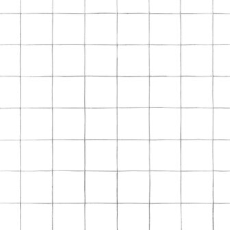 Kippengaas 25x0,5 m gegalvaniseerd staal zilverkleurig 4