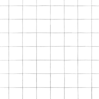 Kippengaas 25x0,5 m gegalvaniseerd staal zilverkleurig 4