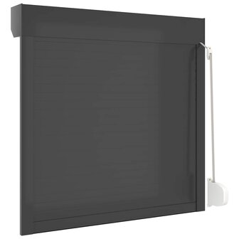 Rolluik 100x100 cm aluminium antracietkleurig 6