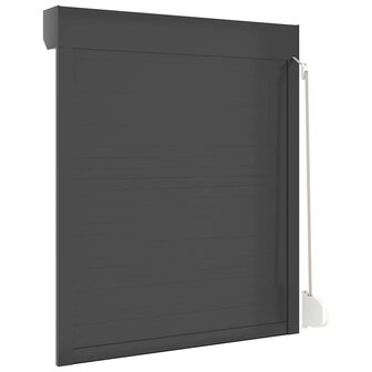 Rolluik 100x120 cm aluminium antracietkleurig 6