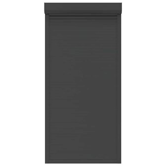 Rolluik 100x210 cm aluminium antracietkleurig 4