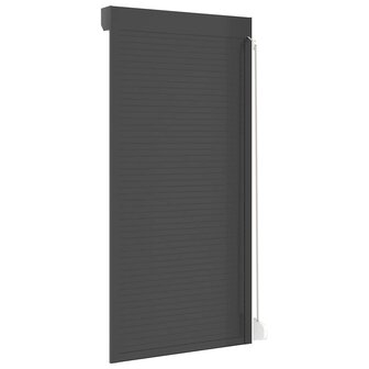 Rolluik 100x210 cm aluminium antracietkleurig 6