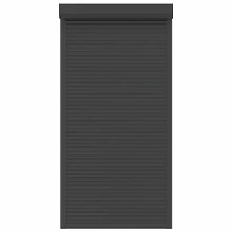 Rolluik 110x220 cm aluminium antracietkleurig 4