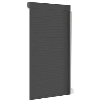 Rolluik 110x220 cm aluminium antracietkleurig 6