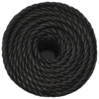 Werktouw 12 mm 50 m polypropeen zwart 3