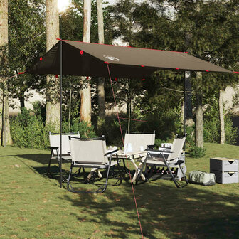 Kampeerluifel waterdicht 306x306 cm bruin 3