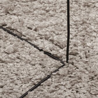 Vloerkleed PAMPLONA shaggy hoogpolig modern 80x150 cm beige 8