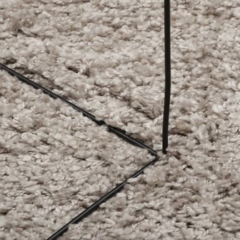 Vloerkleed PAMPLONA shaggy hoogpolig modern &Oslash; 80 cm beige 8