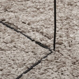 Vloerkleed PAMPLONA shaggy hoogpolig modern &Oslash; 100 cm beige 8