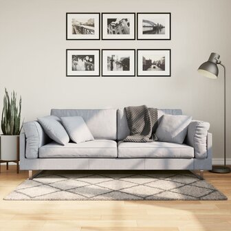 Vloerkleed PAMPLONA shaggy hoogpolig 80x150 cm beige antraciet 1