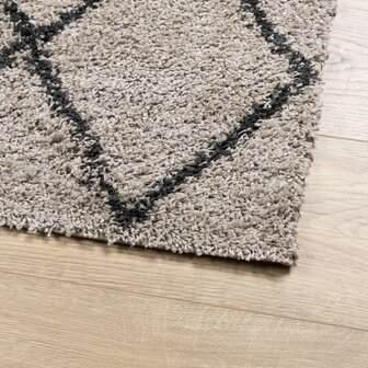 Vloerkleed PAMPLONA shaggy hoogpolig 80x150 cm beige antraciet 4