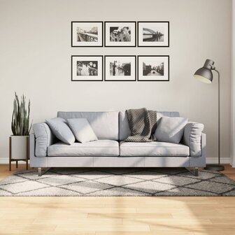 Vloerkleed PAMPLONA shaggy hoogpolig 100x200 cm beige antraciet 1