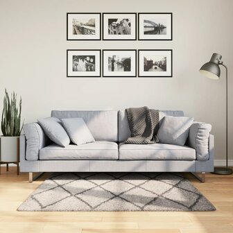 Vloerkleed PAMPLONA shaggy hoogpolig 120x120 cm beige antraciet 1