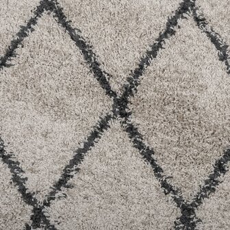 Vloerkleed PAMPLONA shaggy hoogpolig &Oslash; 100 cm beige antraciet 9