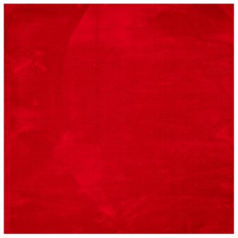 Vloerkleed HUARTE laagpolig zacht wasbaar 160x160 cm rood 2