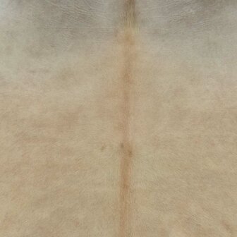 Vloerkleed 150x170 cm echte runderhuid beige 3