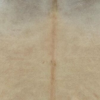 Vloerkleed 180x220 cm echte koeienhuid beige 3