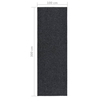 Droogloopmat 100x300 cm antracietkleurig 6
