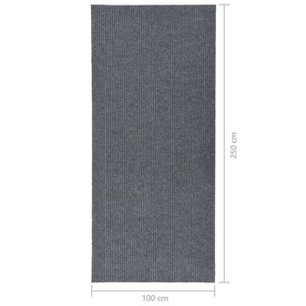 Droogloopmat 100x250 cm grijs 7