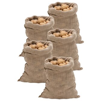Jutezakken 5 stuks 220 g/m&sup2; 60x105 cm 100% jute 1