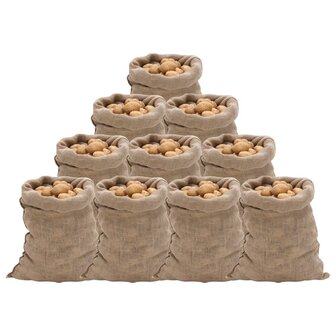Jutezakken 10 stuks 220 g/m&sup2; 60x105 cm 100% jute 1