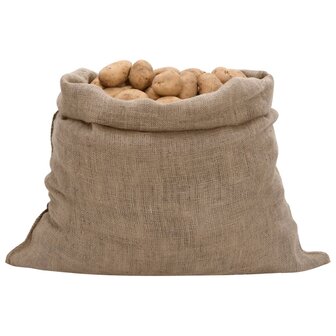 Jutezakken 10 stuks 220 g/m&sup2; 100x110 cm 100% jute 2