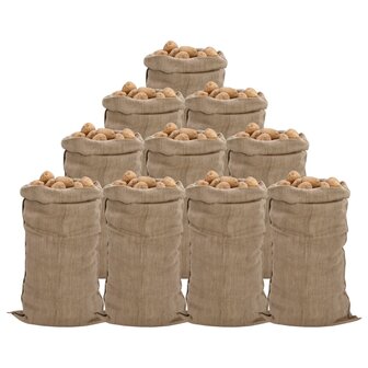 Jutezakken 10 stuks 340 g/m&sup2; 65x135 cm 100% jute 1