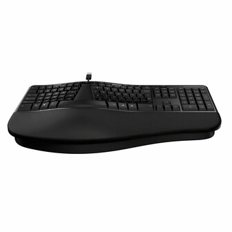 Toetsenbord Incase LXM-00008 Zwart Qwerty US 6