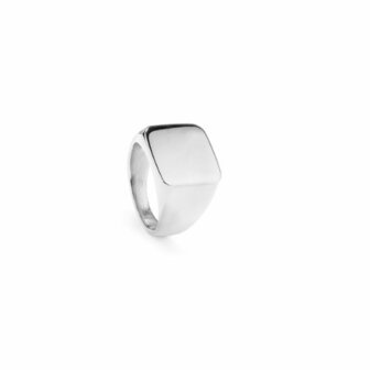 Heren ring Radiant RH000026-24 Zilverkleurig 24 1