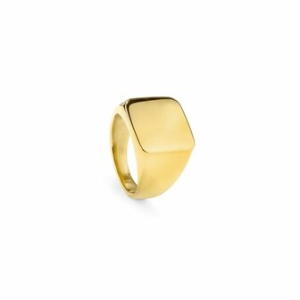 Heren ring Radiant RH000027-22 Gouden 22 1