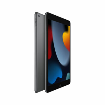 Tablet Apple iPad 10,2&quot; A13 3 GB RAM 64 GB Grijs 3