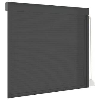 Rolluik 160x150 cm aluminium antracietkleurig 6