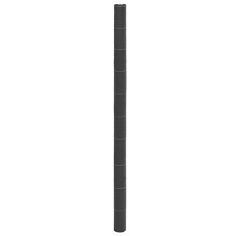 Worteldoek 2x25 m polypropeen zwart 1