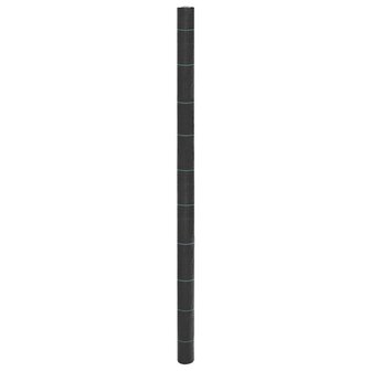 Worteldoek 2x10 m polypropeen zwart 1