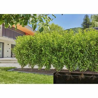 Druppelbuis Gardena 13503-20 25 m 4
