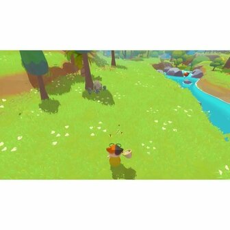 Videogame voor Switch Microids Petit Island 3