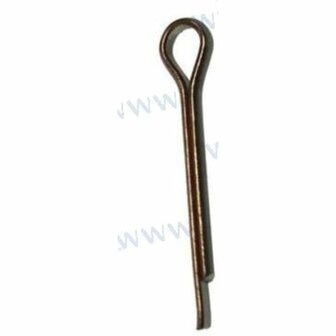 PAGB/T91-D1.6X12 - PENNENPIN Parsun 1