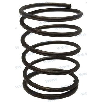 PAF6-04040007 - LENTE Parsun 1