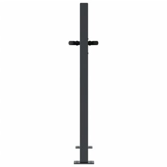 Poort met grasontwerp 105x80 cm staal antracietkleurig 5