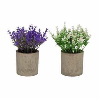 Decoratieve plant Versa Ijzer Textiel Plastic 7 x 16 cm 2
