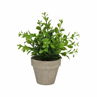 Decoratieve plant Versa Ijzer Textiel Plastic 11 x 26 cm 2