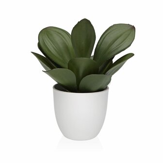 Decoratieve plant Versa Ijzer Textiel Plastic 25 x 23 cm 1