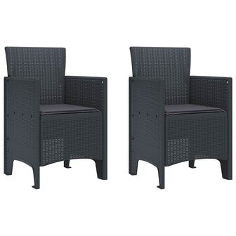 Tuinstoel 2 pcs Antraciet 53 x 49 x 85 cm PP 2